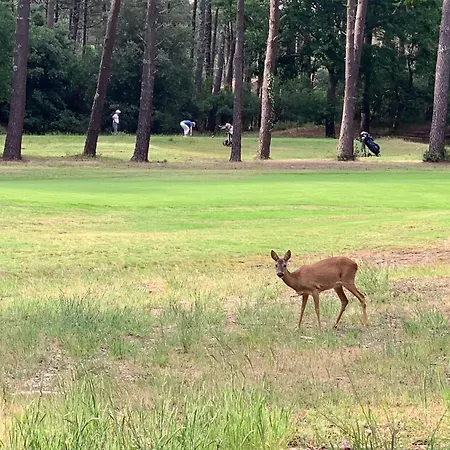 Maison Au Calme Dans Le Golf De *